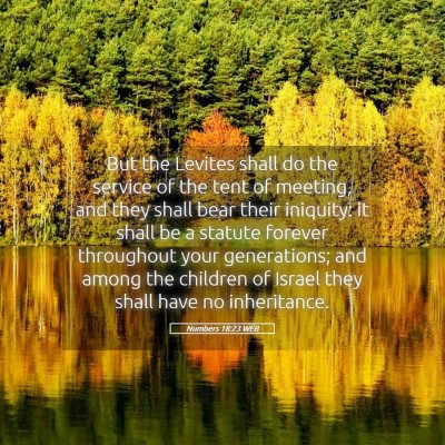 Picture 05 - Numbers 18:23 WEB - But the Levites shall do the service of the tent - Bible Verse Picture