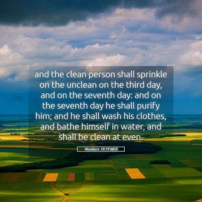 Picture 05 - Numbers 19:19 WEB - and the clean person shall sprinkle on the - Bible Verse Picture