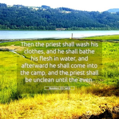 Picture 05 - Numbers 19:7 WEB - Then the priest shall wash his clothes, and he - Bible Verse Picture