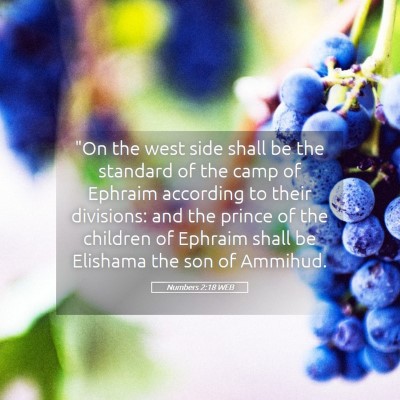 Picture 05 - Numbers 2:18 WEB - 