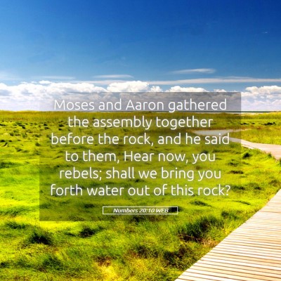 Picture 05 - Numbers 20:10 WEB - Moses and Aaron gathered the assembly together - Bible Verse Picture