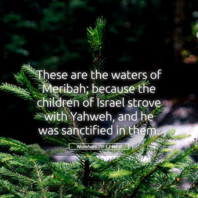 Picture 05 - Numbers 20:13 WEB - These are the waters of Meribah; because the - Bible Verse Picture