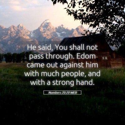 Picture 05 - Numbers 20:20 WEB - He said, You shall not pass through. Edom came - Bible Verse Picture