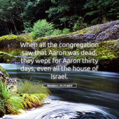 Picture 05 - Numbers 20:29 WEB - When all the congregation saw that Aaron was - Bible Verse Picture