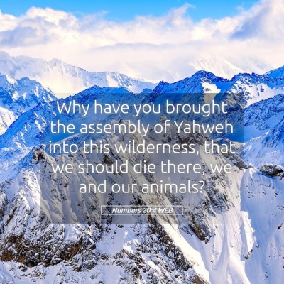 Picture 05 - Numbers 20:4 WEB - Why have you brought the assembly of Yahweh into - Bible Verse Picture