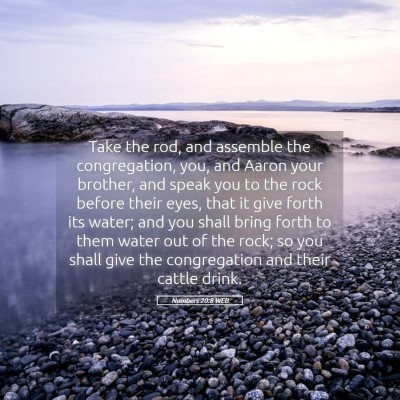 Picture 05 - Numbers 20:8 WEB - Take the rod, and assemble the congregation, you, - Bible Verse Picture