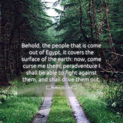 Picture 05 - Numbers 22:11 WEB - Behold, the people that is come out of Egypt, it - Bible Verse Picture