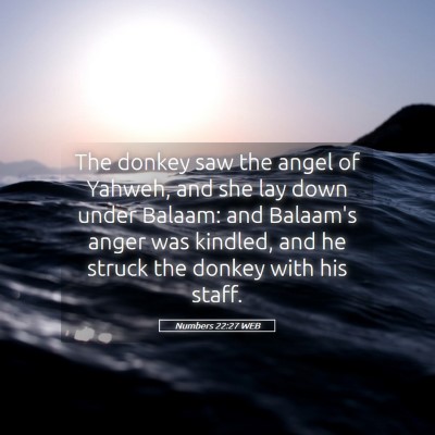 Picture 05 - Numbers 22:27 WEB - The donkey saw the angel of Yahweh, and she lay - Bible Verse Picture