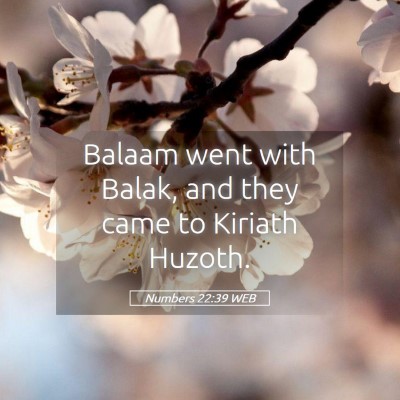 Picture 05 - Numbers 22:39 WEB - Balaam went with Balak, and they came to Kiriath - Bible Verse Picture