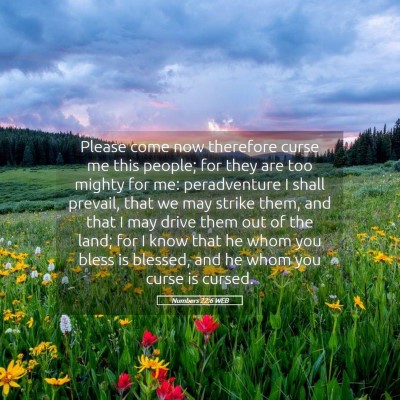 Picture 05 - Numbers 22:6 WEB - Please come now therefore curse me this people; - Bible Verse Picture
