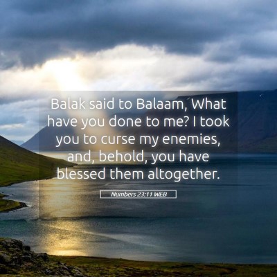Picture 05 - Numbers 23:11 WEB - Balak said to Balaam, What have you done to me? I - Bible Verse Picture
