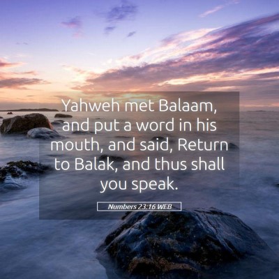 Picture 05 - Numbers 23:16 WEB - Yahweh met Balaam, and put a word in his mouth, - Bible Verse Picture