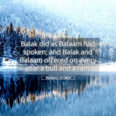 Picture 05 - Numbers 23:2 WEB - Balak did as Balaam had spoken; and Balak and - Bible Verse Picture