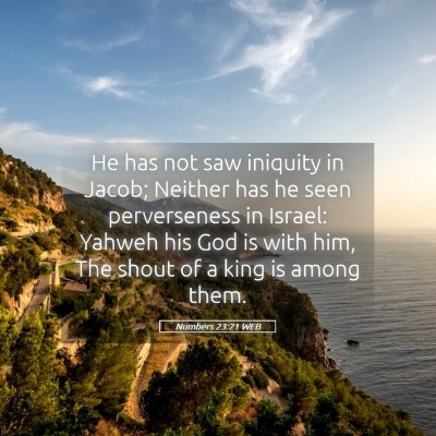 Picture 05 - Numbers 23:21 WEB - He has not saw iniquity in Jacob; Neither has he - Bible Verse Picture