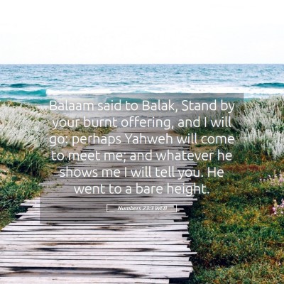 Picture 05 - Numbers 23:3 WEB - Balaam said to Balak, Stand by your burnt - Bible Verse Picture