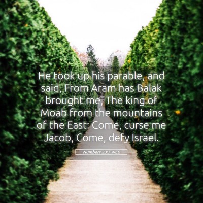 Picture 05 - Numbers 23:7 WEB - He took up his parable, and said, From Aram has - Bible Verse Picture