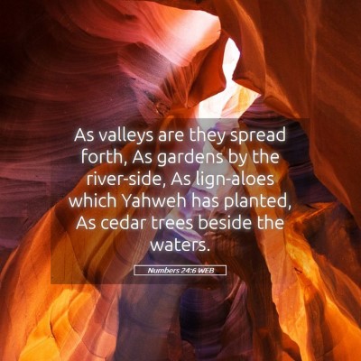 Picture 05 - Numbers 24:6 WEB - As valleys are they spread forth, As gardens by - Bible Verse Picture