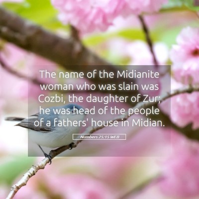 Picture 05 - Numbers 25:15 WEB - The name of the Midianite woman who was slain was - Bible Verse Picture