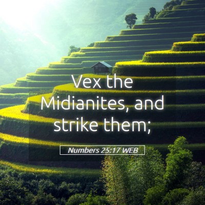 Picture 05 - Numbers 25:17 WEB - Vex the Midianites, and strike - Bible Verse Picture