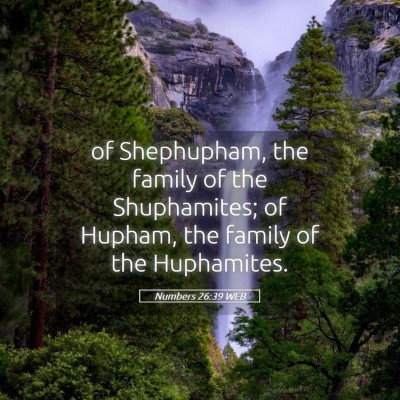 Picture 05 - Numbers 26:39 WEB - of Shephupham, the family of the Shuphamites; of - Bible Verse Picture