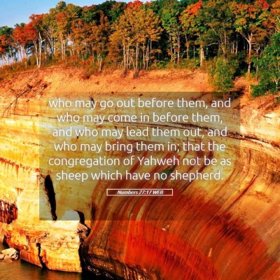 Picture 05 - Numbers 27:17 WEB - who may go out before them, and who may come in - Bible Verse Picture