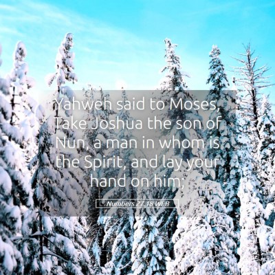 Picture 05 - Numbers 27:18 WEB - Yahweh said to Moses, Take Joshua the son of Nun, - Bible Verse Picture