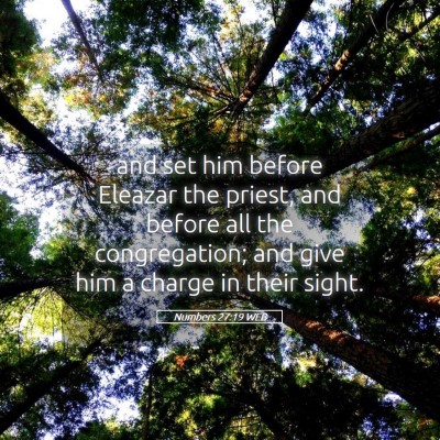 Picture 05 - Numbers 27:19 WEB - and set him before Eleazar the priest, and before - Bible Verse Picture