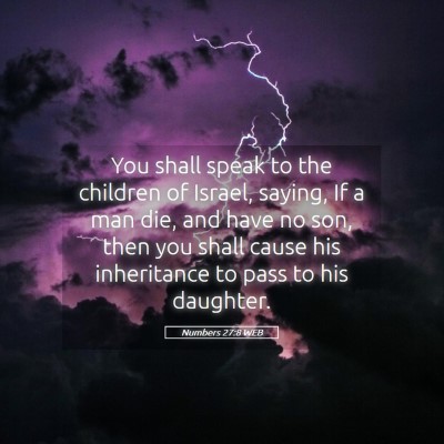 Picture 05 - Numbers 27:8 WEB - You shall speak to the children of Israel, - Bible Verse Picture