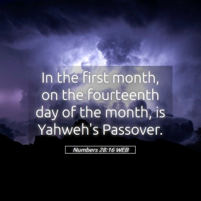 Picture 05 - Numbers 28:16 WEB - In the first month, on the fourteenth day of the - Bible Verse Picture