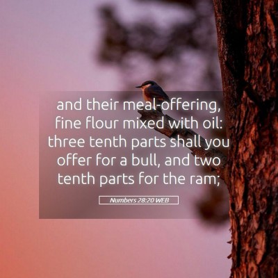 Picture 05 - Numbers 28:20 WEB - and their meal-offering, fine flour mixed with - Bible Verse Picture
