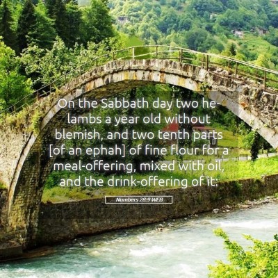 Picture 05 - Numbers 28:9 WEB - On the Sabbath day two he-lambs a year old - Bible Verse Picture