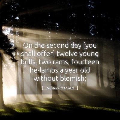 Picture 05 - Numbers 29:17 WEB - On the second day [you shall offer] twelve young - Bible Verse Picture