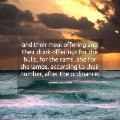 Picture 05 - Numbers 29:21 WEB - and their meal-offering and their drink-offerings - Bible Verse Picture