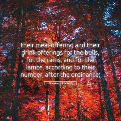 Picture 05 - Numbers 29:24 WEB - their meal-offering and their drink-offerings for - Bible Verse Picture