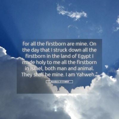 Picture 05 - Numbers 3:13 WEB - for all the firstborn are mine. On the day that I - Bible Verse Picture