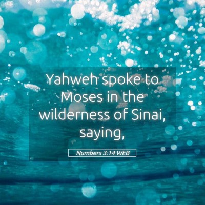 Picture 05 - Numbers 3:14 WEB - Yahweh spoke to Moses in the wilderness of Sinai, - Bible Verse Picture