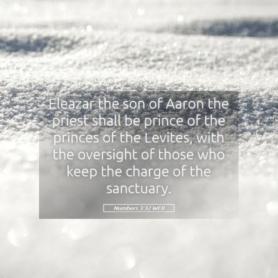Picture 05 - Numbers 3:32 WEB - Eleazar the son of Aaron the priest shall be - Bible Verse Picture