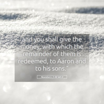 Picture 05 - Numbers 3:48 WEB - and you shall give the money, with which the - Bible Verse Picture
