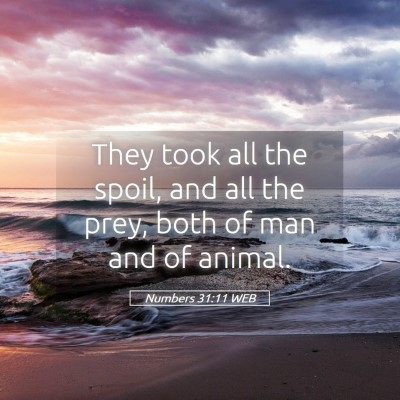 Picture 05 - Numbers 31:11 WEB - They took all the spoil, and all the prey, both - Bible Verse Picture