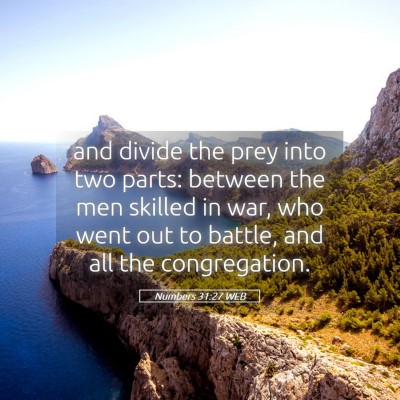 Picture 05 - Numbers 31:27 WEB - and divide the prey into two parts: between the - Bible Verse Picture