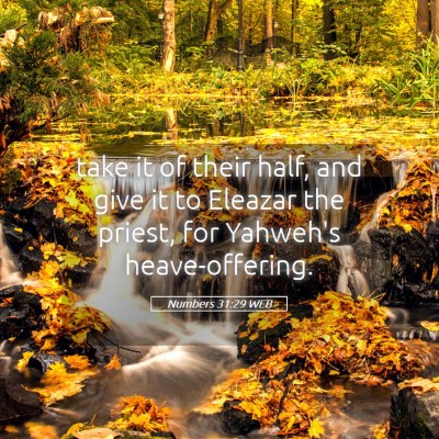 Picture 05 - Numbers 31:29 WEB - take it of their half, and give it to Eleazar the - Bible Verse Picture