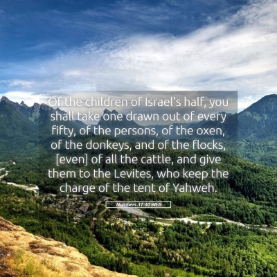 Picture 05 - Numbers 31:30 WEB - Of the children of Israel's half, you shall take - Bible Verse Picture
