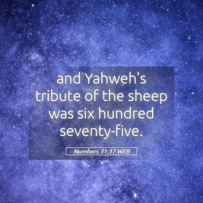 Picture 05 - Numbers 31:37 WEB - and Yahweh's tribute of the sheep was six hundred - Bible Verse Picture