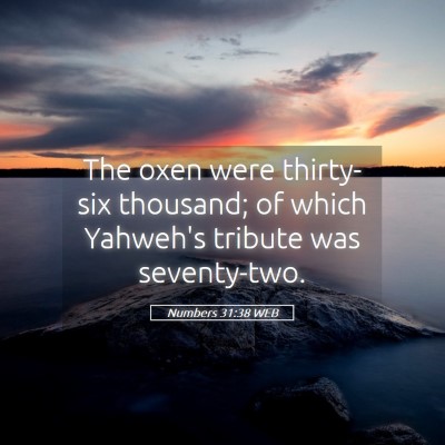 Picture 05 - Numbers 31:38 WEB - The oxen were thirty-six thousand; of which - Bible Verse Picture