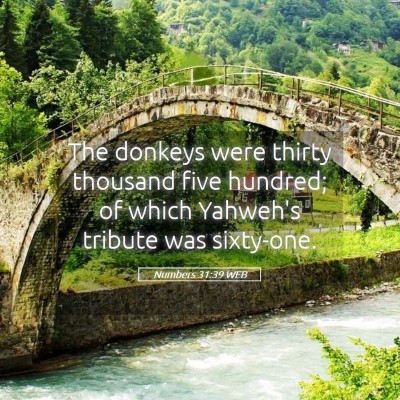 Picture 05 - Numbers 31:39 WEB - The donkeys were thirty thousand five hundred; of - Bible Verse Picture