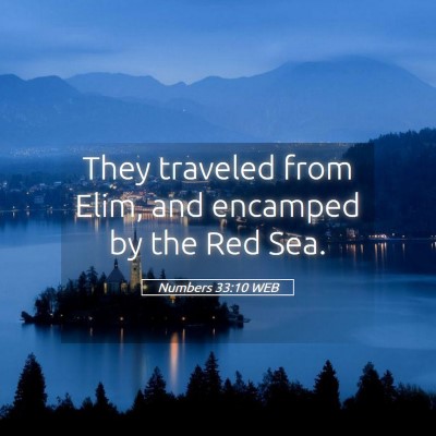 Picture 05 - Numbers 33:10 WEB - They traveled from Elim, and encamped by the Red - Bible Verse Picture