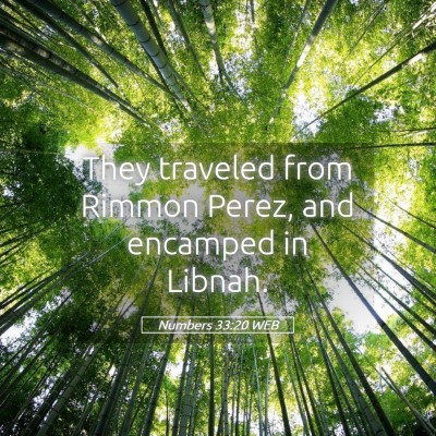 Picture 05 - Numbers 33:20 WEB - They traveled from Rimmon Perez, and encamped in - Bible Verse Picture