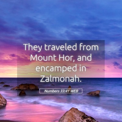 Picture 05 - Numbers 33:41 WEB - They traveled from Mount Hor, and encamped in - Bible Verse Picture
