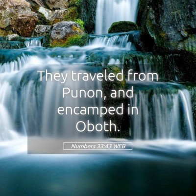 Picture 05 - Numbers 33:43 WEB - They traveled from Punon, and encamped in - Bible Verse Picture