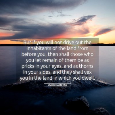 Picture 05 - Numbers 33:55 WEB - But if you will not drive out the inhabitants of - Bible Verse Picture